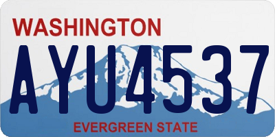 WA license plate AYU4537