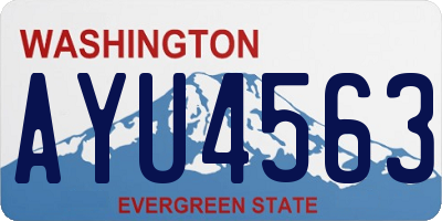 WA license plate AYU4563