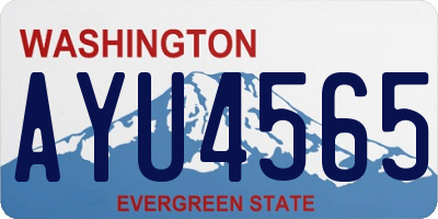 WA license plate AYU4565