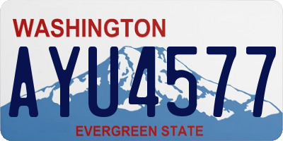 WA license plate AYU4577