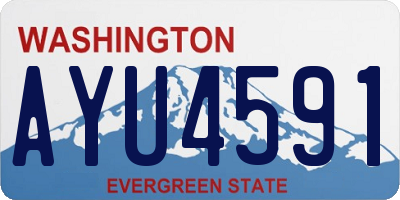 WA license plate AYU4591