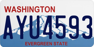WA license plate AYU4593