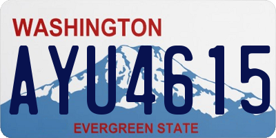 WA license plate AYU4615