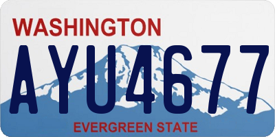 WA license plate AYU4677