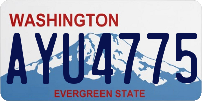 WA license plate AYU4775