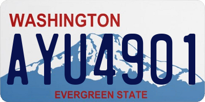WA license plate AYU4901