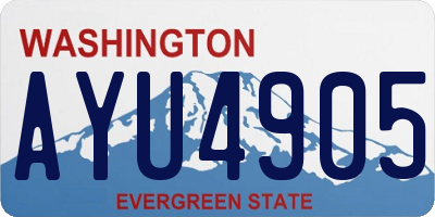 WA license plate AYU4905