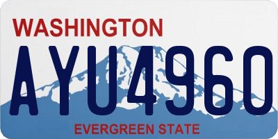 WA license plate AYU4960