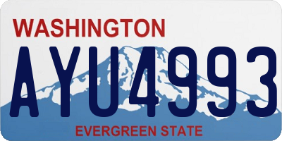 WA license plate AYU4993