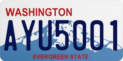 WA license plate AYU5001