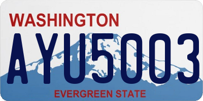 WA license plate AYU5003