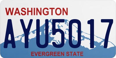 WA license plate AYU5017