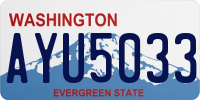 WA license plate AYU5033