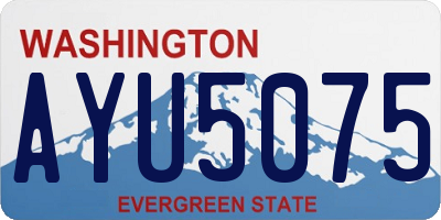 WA license plate AYU5075