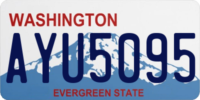 WA license plate AYU5095