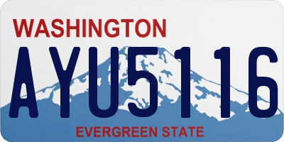WA license plate AYU5116