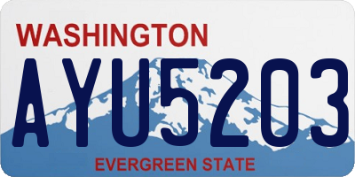WA license plate AYU5203
