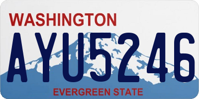 WA license plate AYU5246
