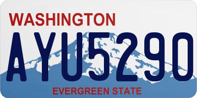 WA license plate AYU5290