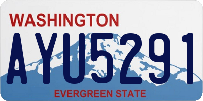 WA license plate AYU5291