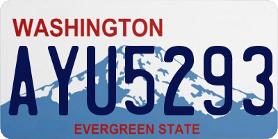 WA license plate AYU5293