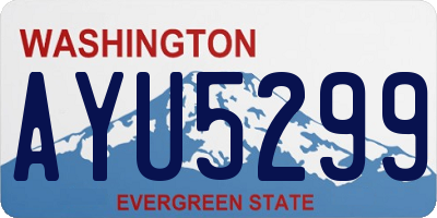 WA license plate AYU5299