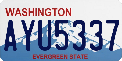 WA license plate AYU5337