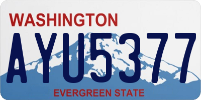 WA license plate AYU5377