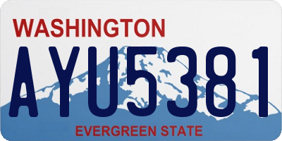 WA license plate AYU5381