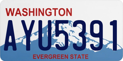 WA license plate AYU5391