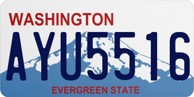 WA license plate AYU5516