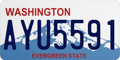 WA license plate AYU5591