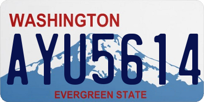 WA license plate AYU5614