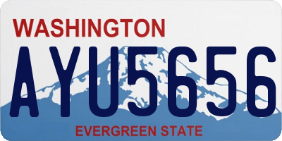 WA license plate AYU5656
