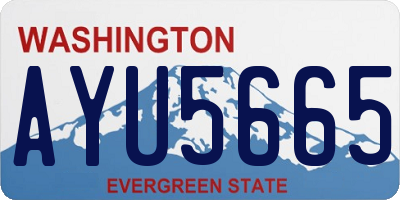 WA license plate AYU5665