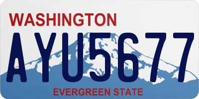 WA license plate AYU5677