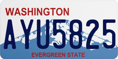 WA license plate AYU5825