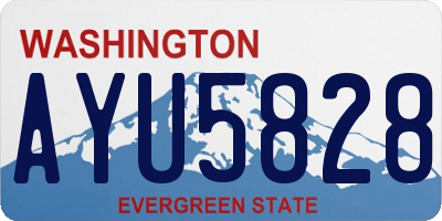WA license plate AYU5828
