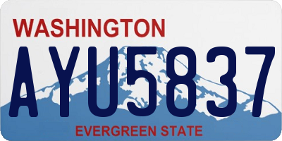 WA license plate AYU5837