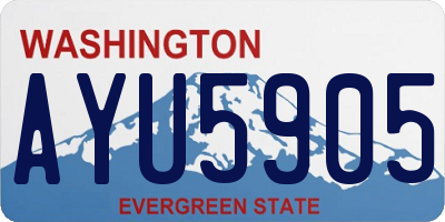 WA license plate AYU5905