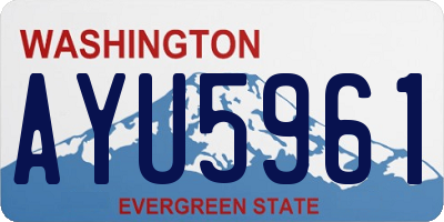 WA license plate AYU5961