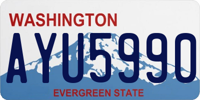 WA license plate AYU5990