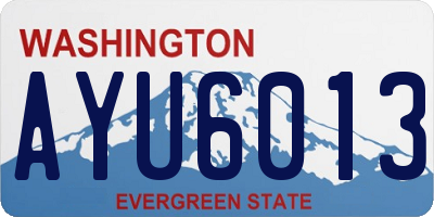 WA license plate AYU6013