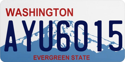 WA license plate AYU6015