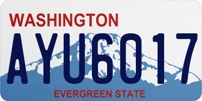 WA license plate AYU6017