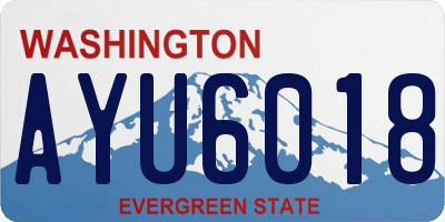 WA license plate AYU6018
