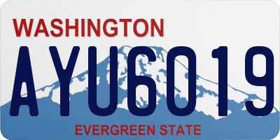 WA license plate AYU6019