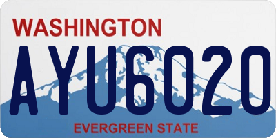 WA license plate AYU6020