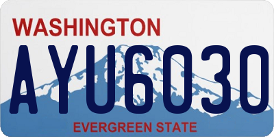 WA license plate AYU6030