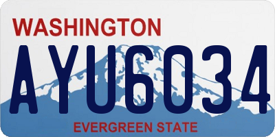 WA license plate AYU6034